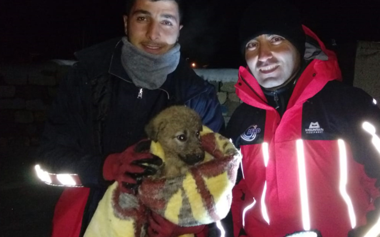 В Турции спасли щенка упавшего в 20-ти метровый колодец