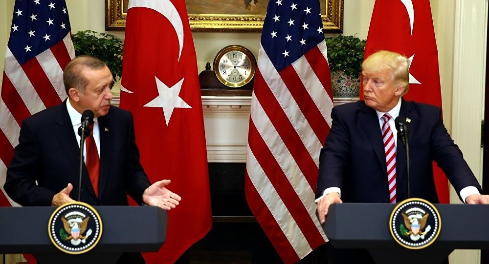 Президент Турции планирует посетить США и Германию в конце сентября 