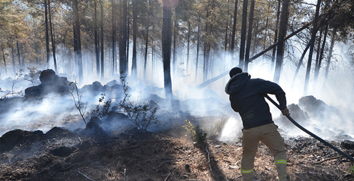 В провинции Адана вспыхнул сильный лесной пожар