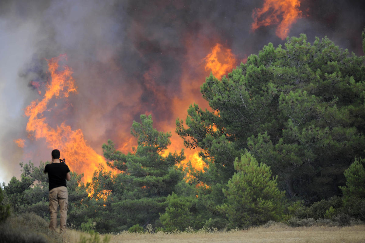Лесной пожар в Измире