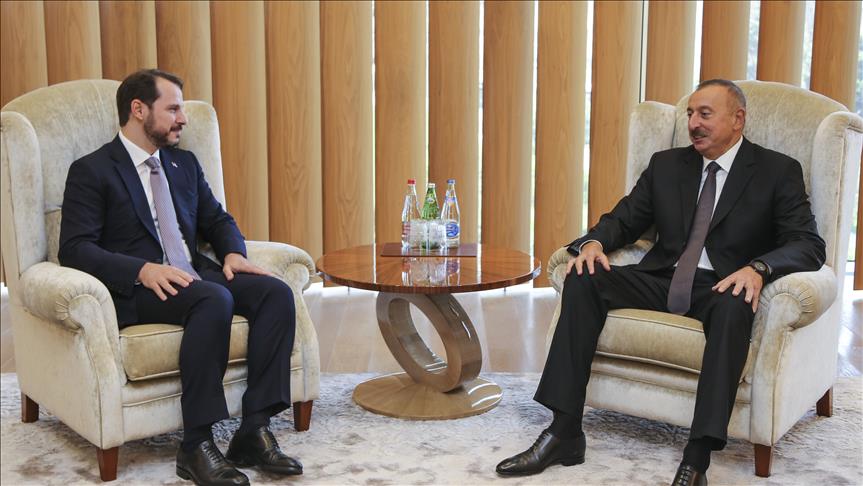 Министр энергетики Турции провел встречу с президентом Азербайджана
