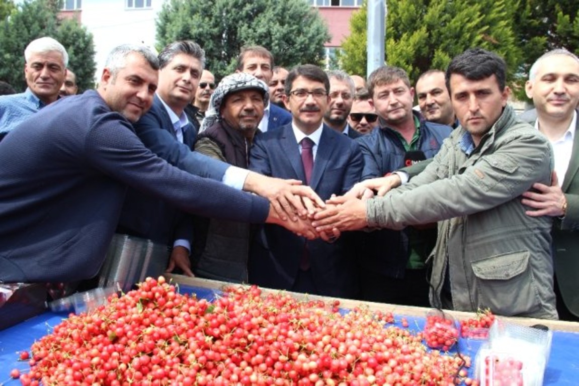Первый урожай турецкой черешни продан по 250 лир за кг