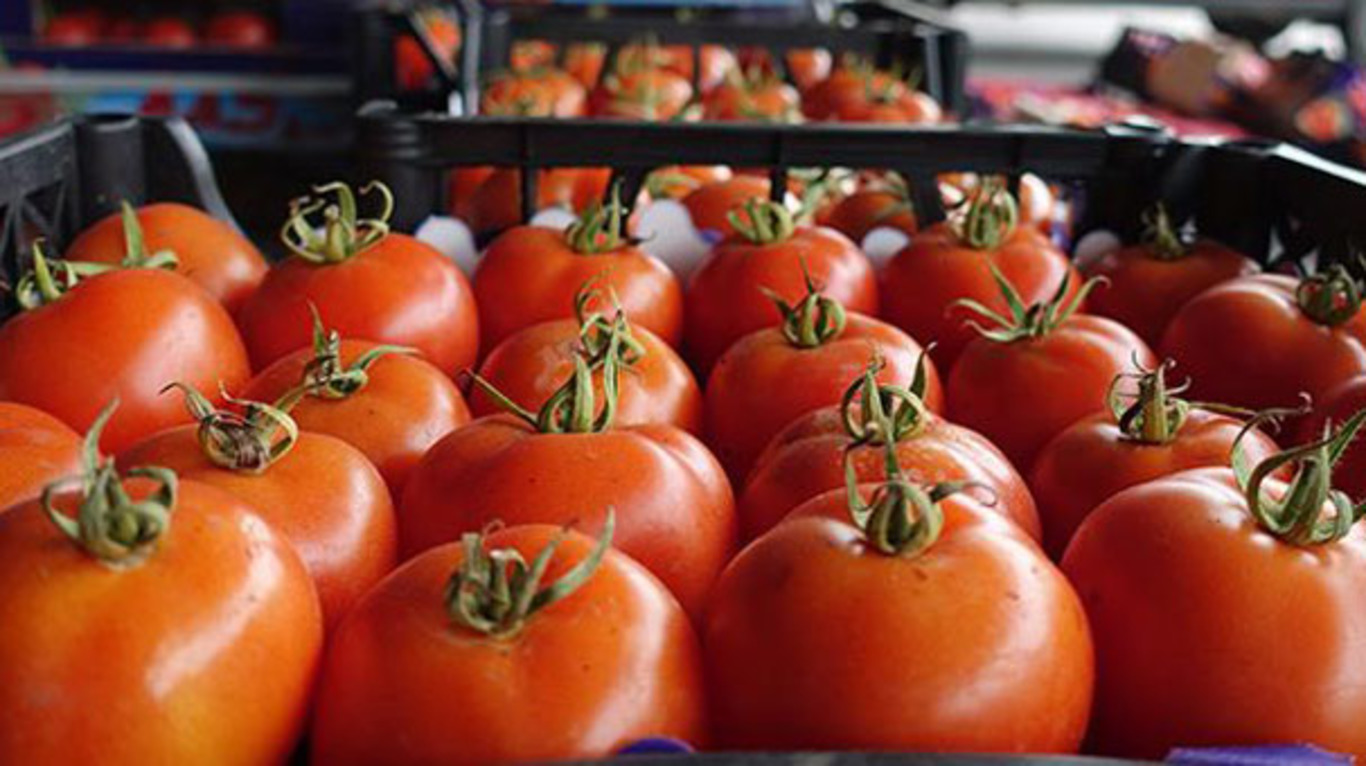 Экспорт турецких овощей в Россию превысил 147 млн долларов