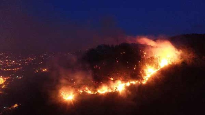 В турецком Гиресуне бушует лесной пожар (видео)