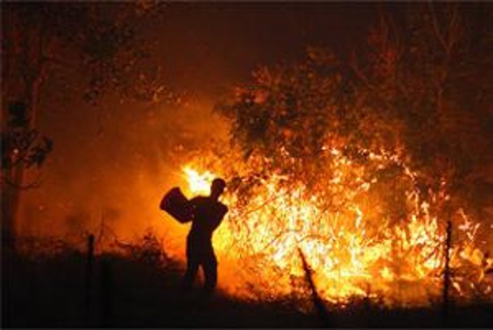 В Анталье сгорело 3 гектара леса