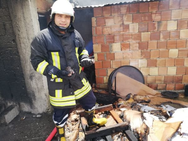 В Мерсине пожарные героически спасли котят