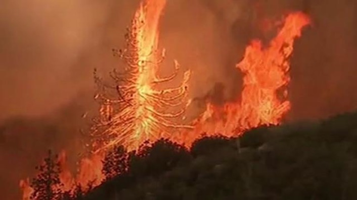 В туристической Анталье продолжает гореть лес (видео)