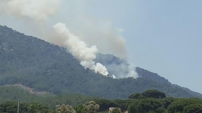 В непосредственной близости от аэропорта Миляс-Бодрум тушат лесной пожар