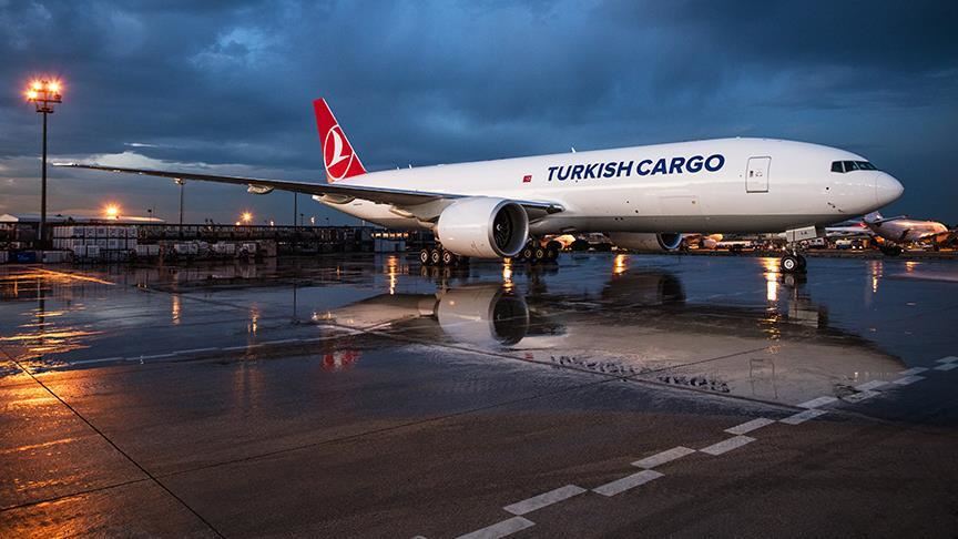 Экспорт фруктов рейсами Turkish Cargo превысил $18 млн