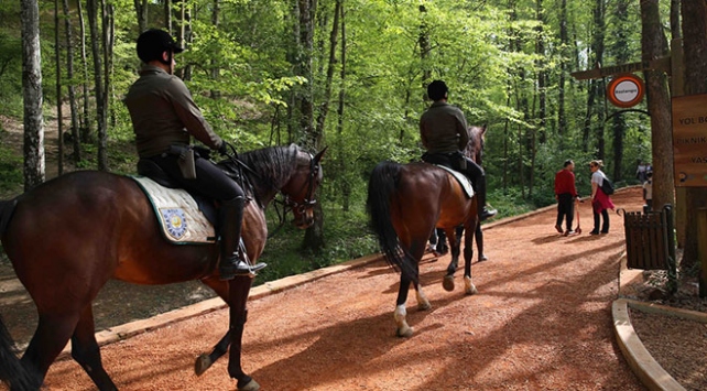  Конный отряд патрулирует Белградский лес в Стамбуле
