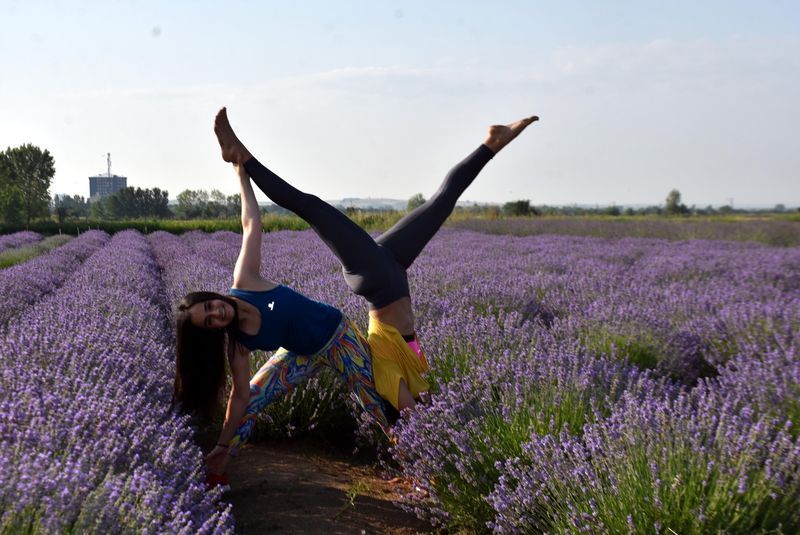 Лавандовые поля в Эдирне привлекают любителей йоги