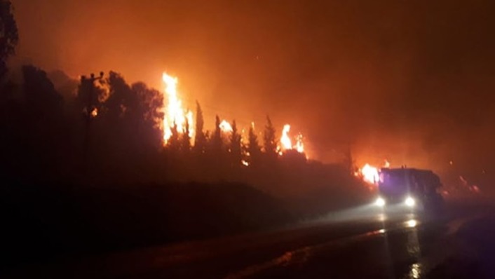 В результате лесного пожара в Измире эвакуированы отели