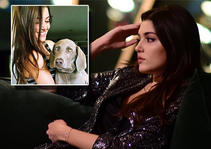 Самая красивая актриса Турции кормит уличных собак