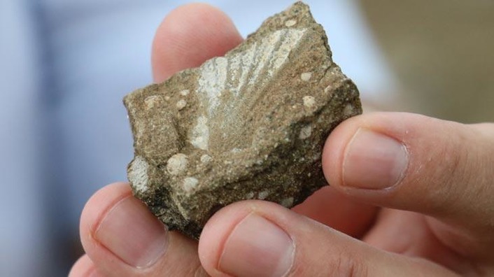 15 млн лет назад турецкий Сивас был морским дном