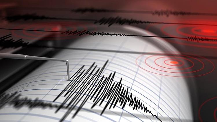 На северо-востоке Турции произошло землетрясение