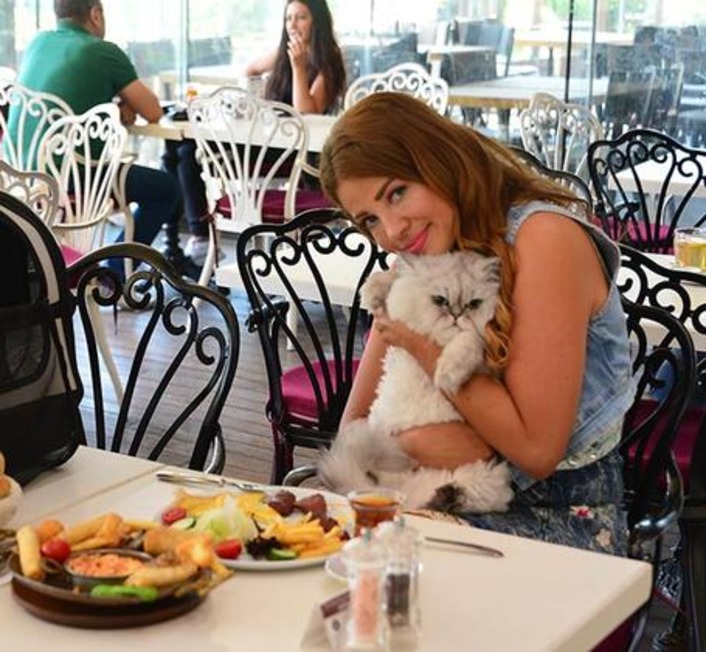 Кот турецкой актрисы завтракает в ресторане Нусрета Гёкче