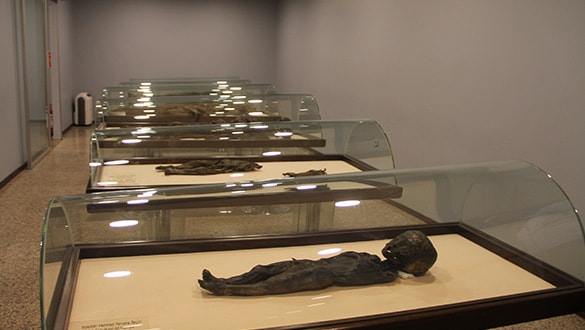 800-летние мусульманские мумии находятся в экспозиции турецкого музея