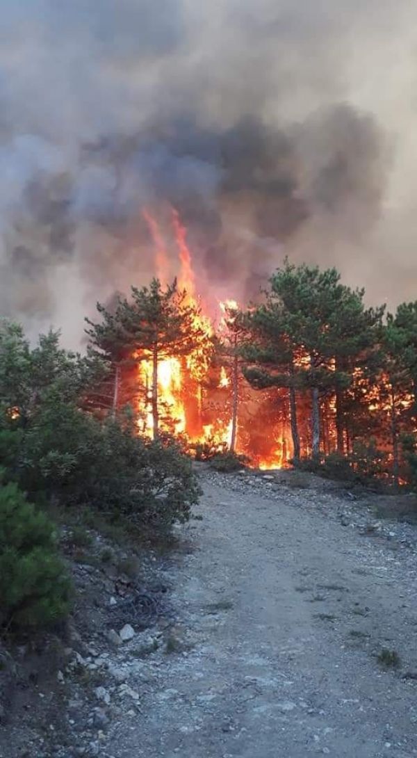 На западе Турции бушует лесной пожар