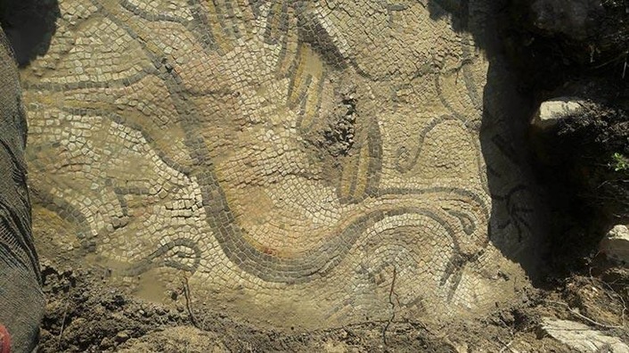 Турецкий фермер обнаружил мозаику Византийского периода