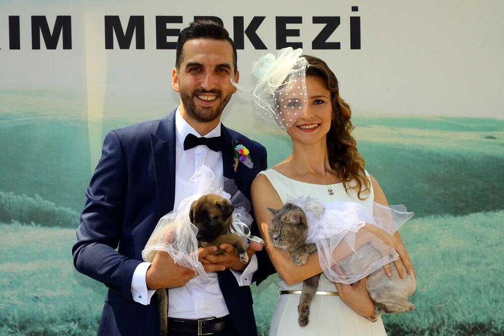 Пара из Антальи сыграла свадьбу в приюте для животных