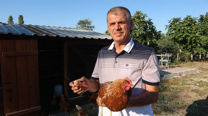В турецкой Бурсе обнаружено уникальное куриное яйцо