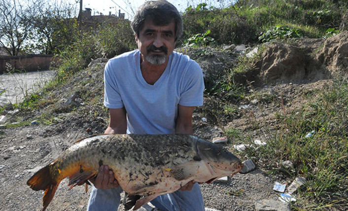 Турецкий рыбак поймал на удочку огромного карпа