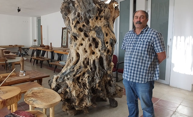 Житель Балыкесира превращает оливковые деревья в шедевры
