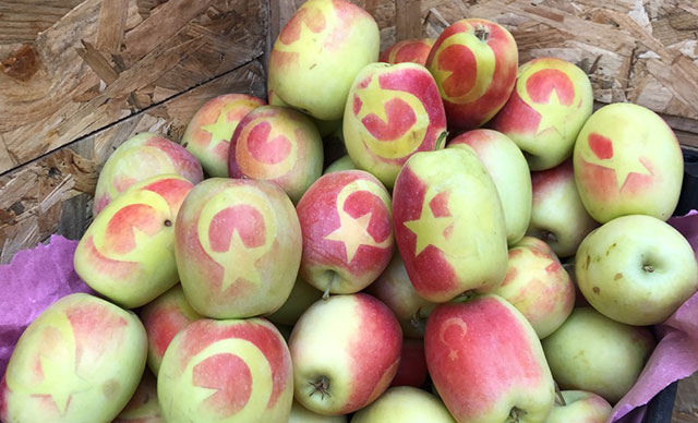 В Карсе производят уникальные яблоки с турецкой символикой