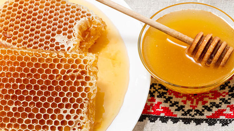 Сосновый мед из Турции будет сертифицирован в ЕС
