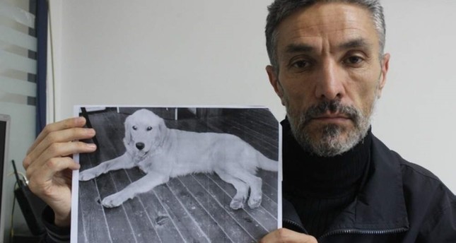 Житель Турции ищет исчезнувшего пса по всему миру