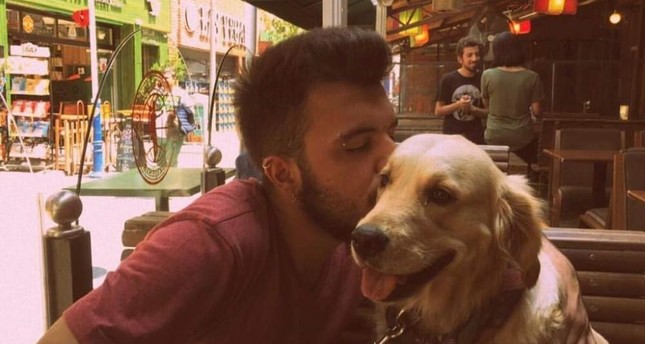 Впервые в Турции истец отсудил опеку над собакой