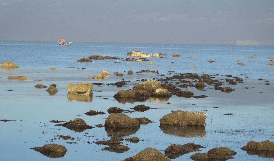 В Турции сильный отлив открыл древний затонувший порт