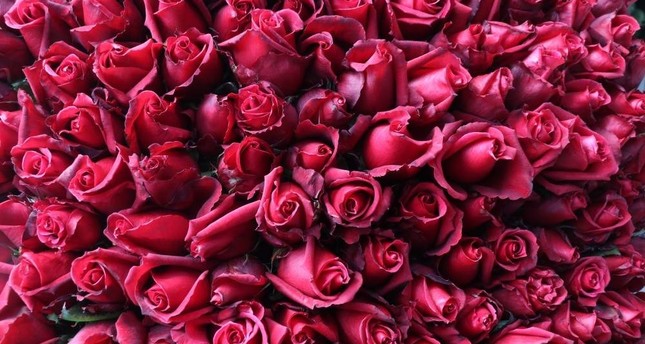 Накануне Дня влюбленных Турция экспортировала 60 млн роз