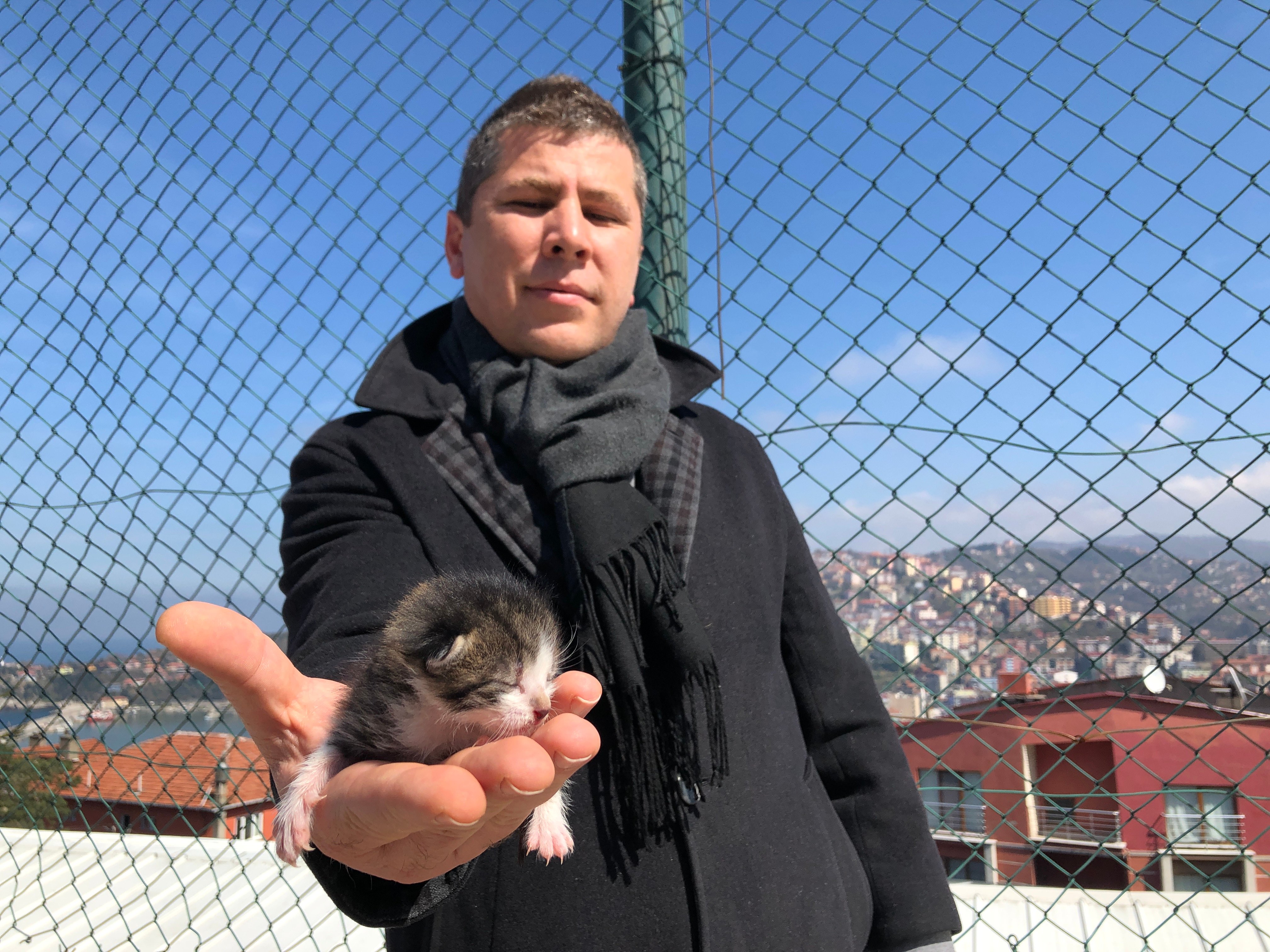 В Турции мужчина спас котенка методом искусственного дыхания