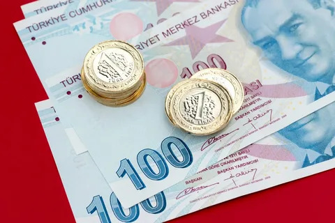 Турецкая лира упала до абсолютного минимума