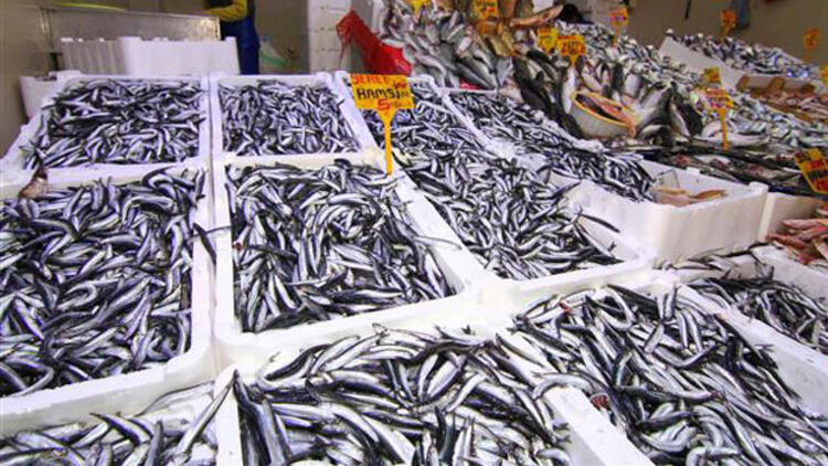 В Турции увеличилось производство рыбной продукции