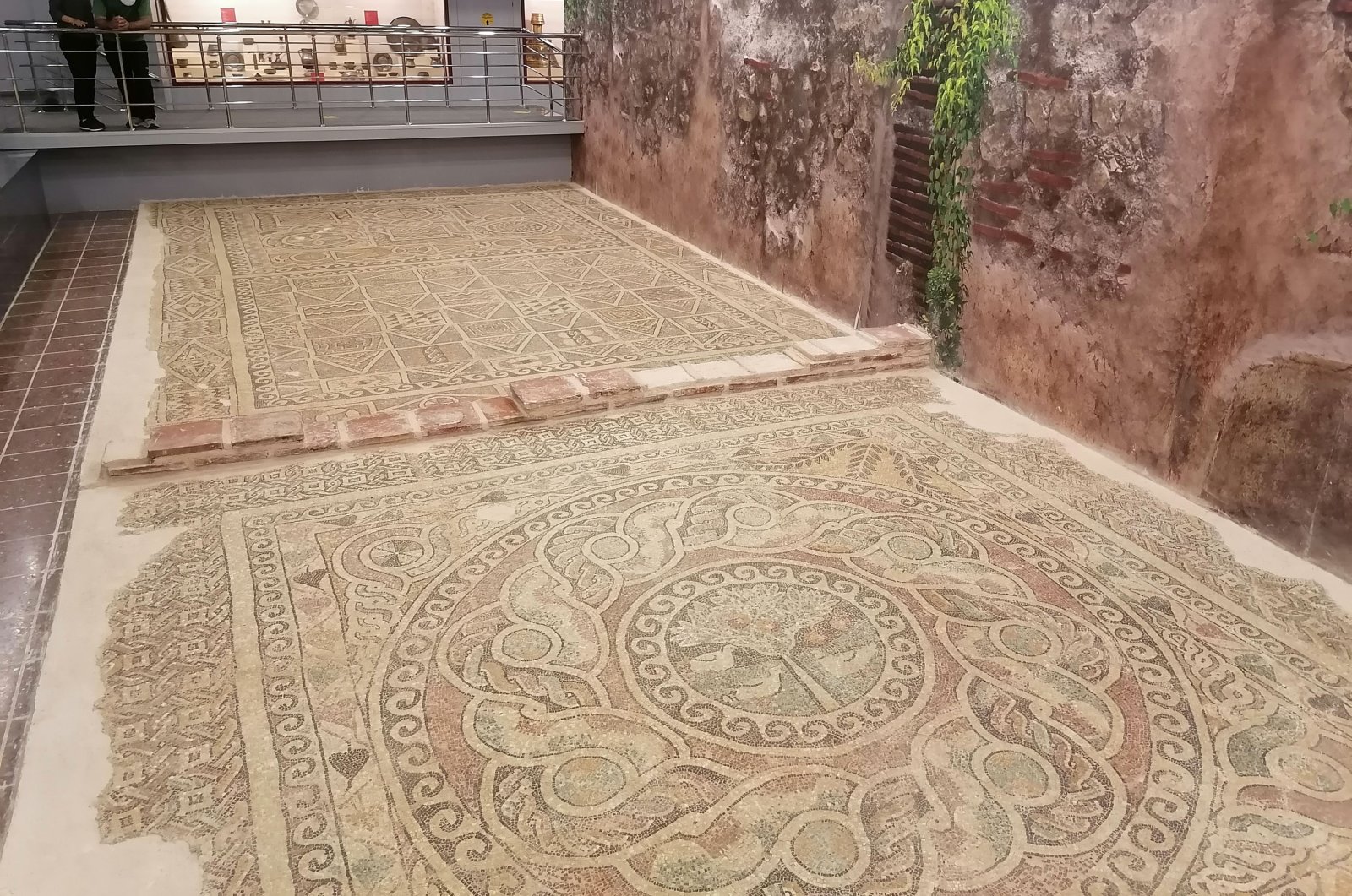 Уникальная 1800-летняя мозаика выставлена в музее Амасьи