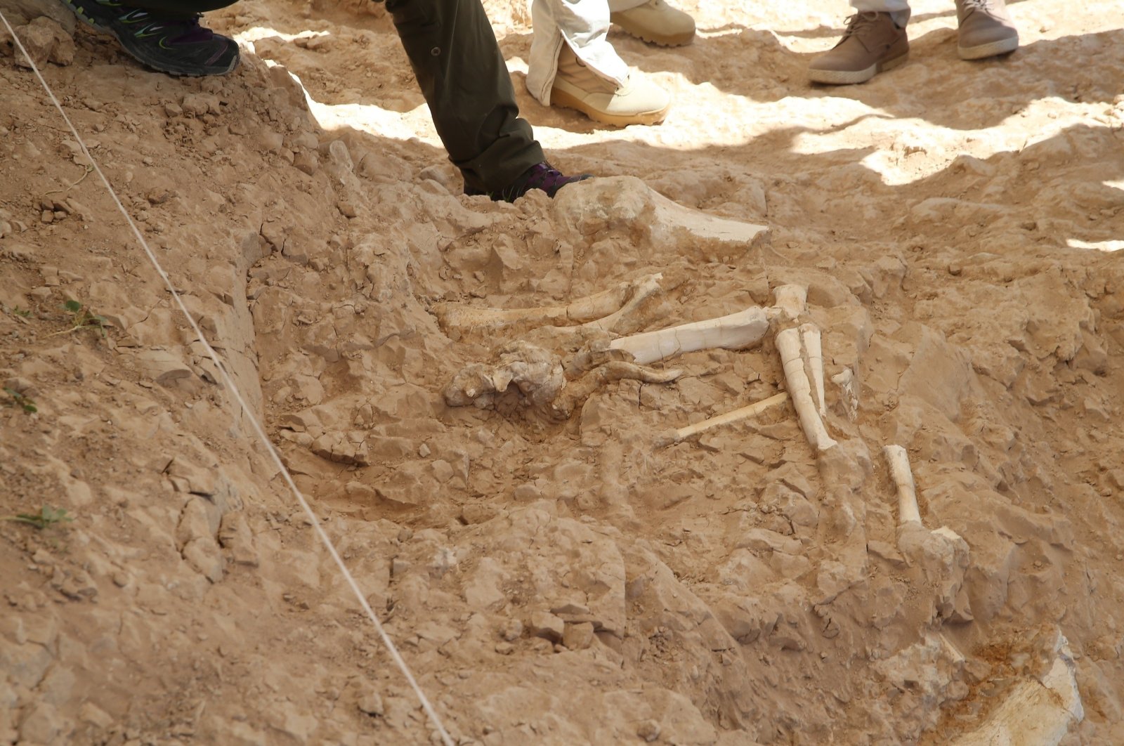 В Кайсери обнаружены уникальные окаменелости