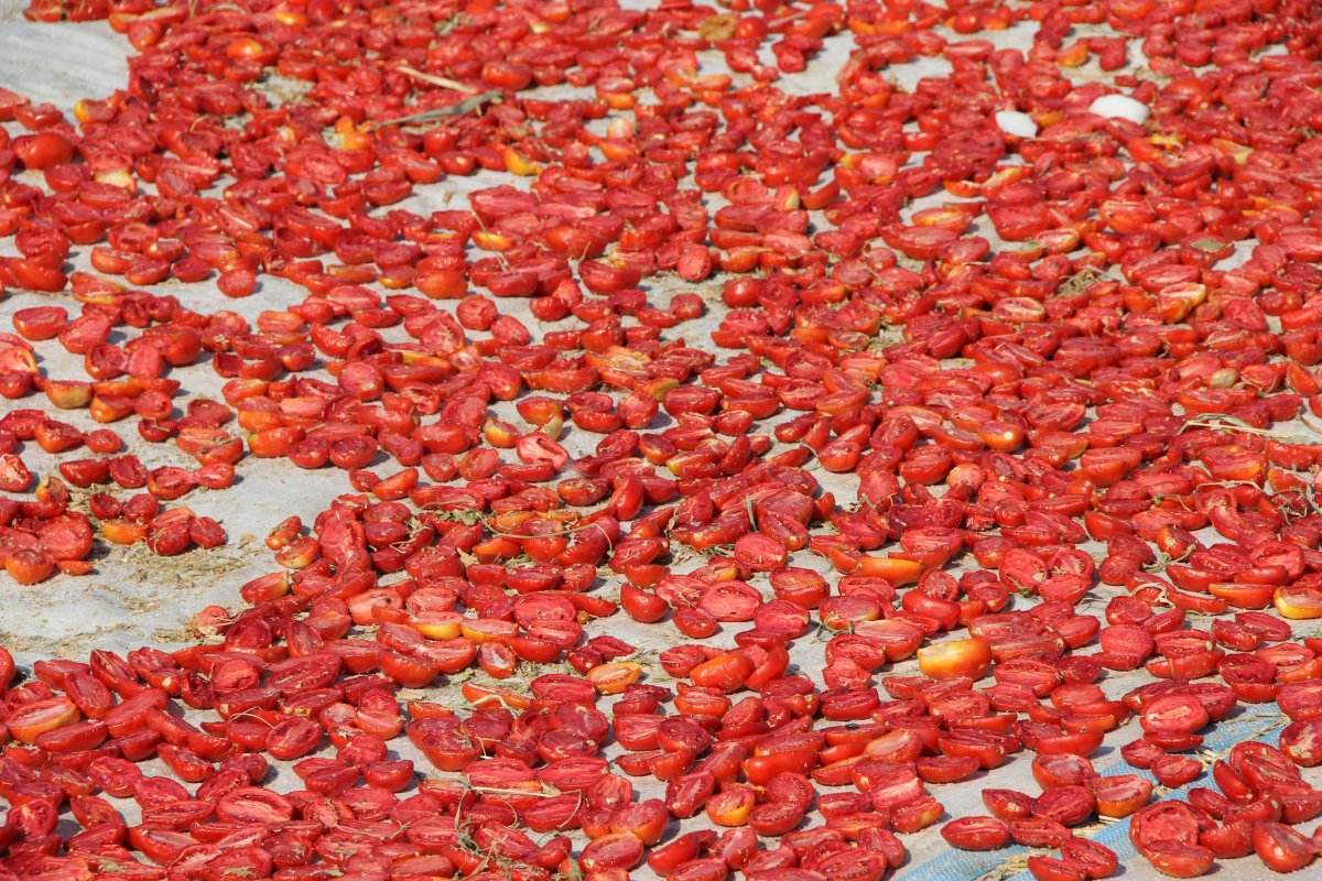 Турецкие сушеные томаты покорили Италию