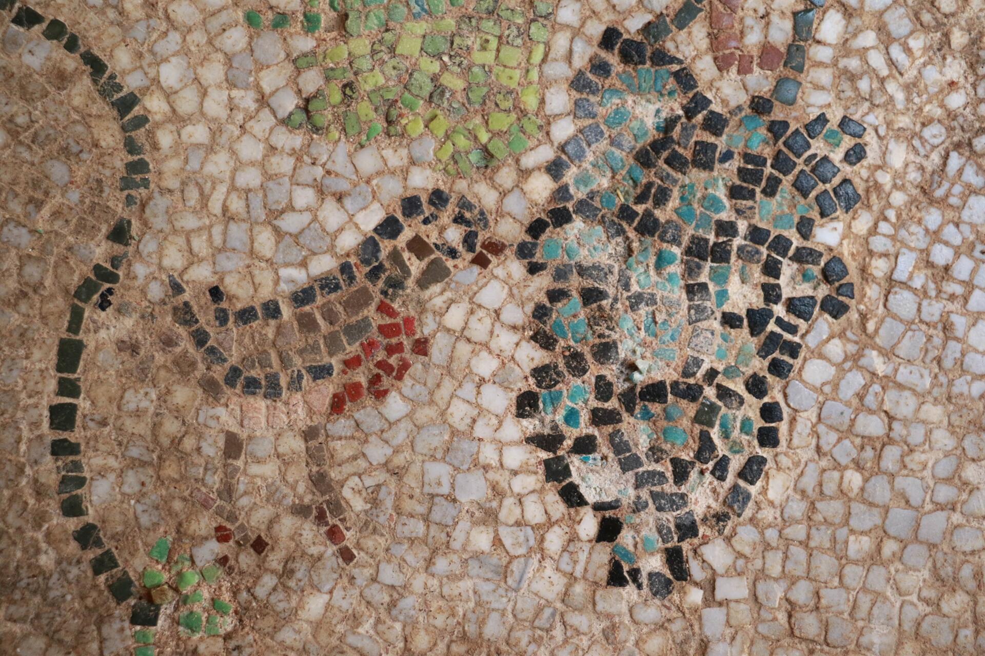 В турецком Синопе обнаружили уникальную мозаику