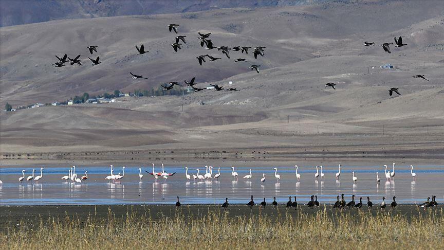 Экотуристы выбирают озеро Куючук в Турции