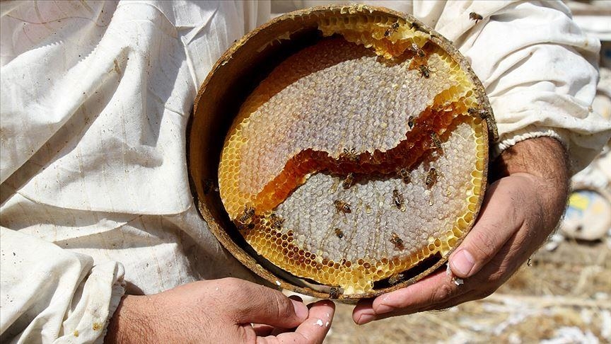 Турецкий мед покупают в 49 странах мира