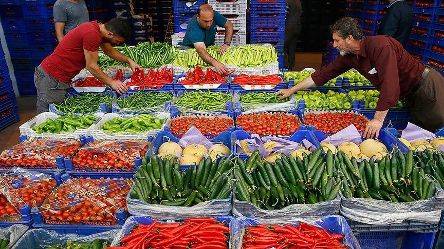 Мерсин назван лидером по объемам экспорта овощей и фруктов