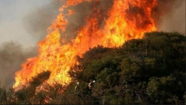  В Чанаккале бушуют лесные пожары
