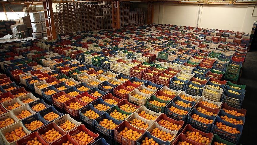 В Турции растет экспорт свежих фруктов и овощей