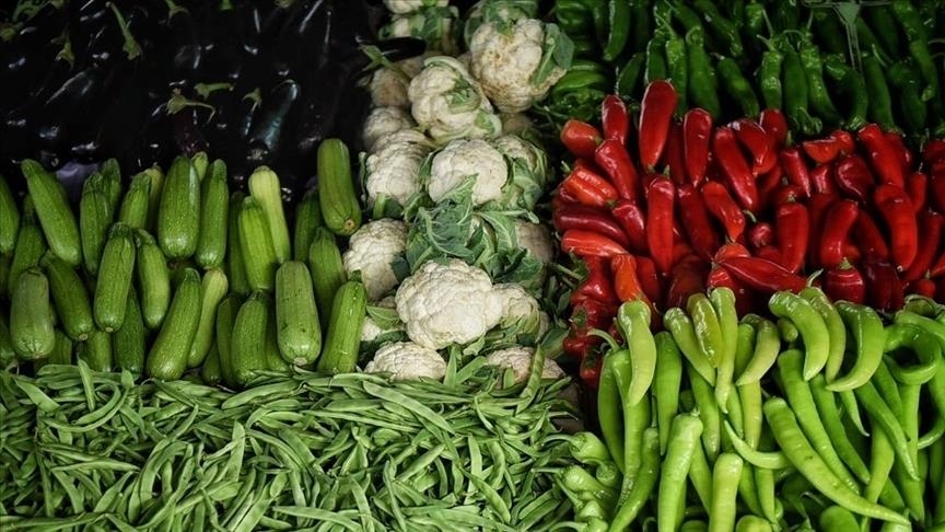 Россия - ведущий импортер овощей и фруктов из Турции