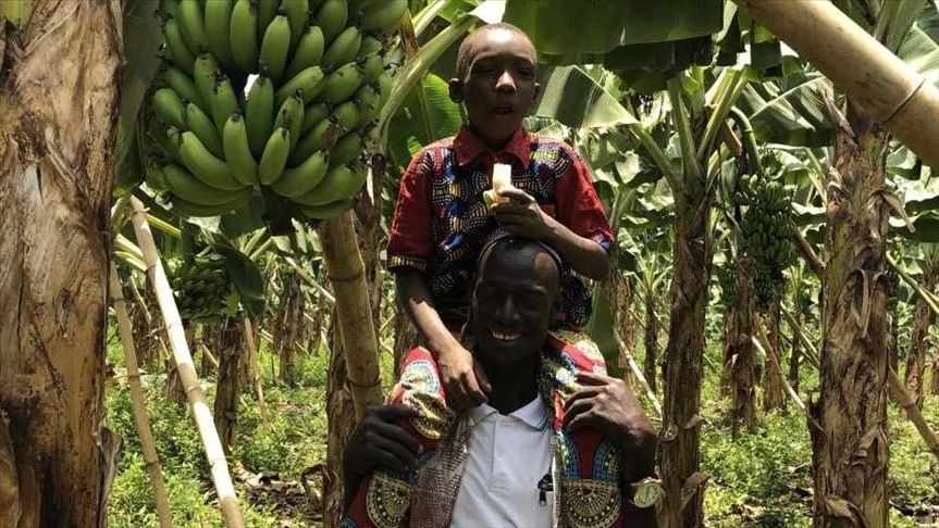 Турция поддерживает производство бананов в Гвинее