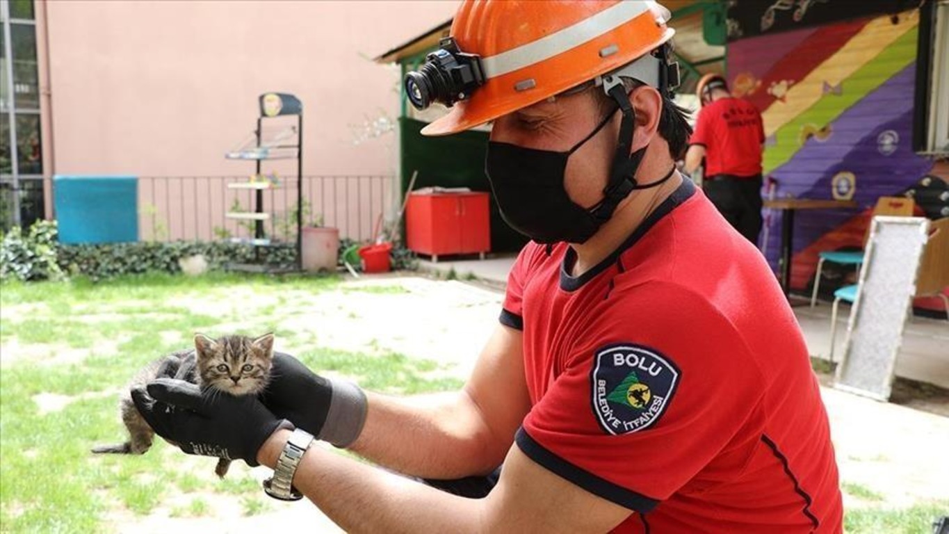 Пожарный спас котят при помощи смартфона