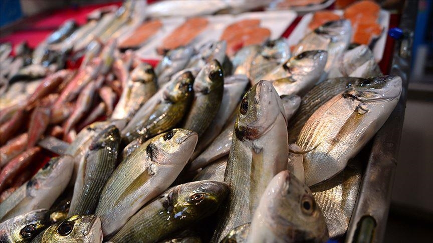 Турция заняла первое место в  Европе по экспорту морепродуктов
