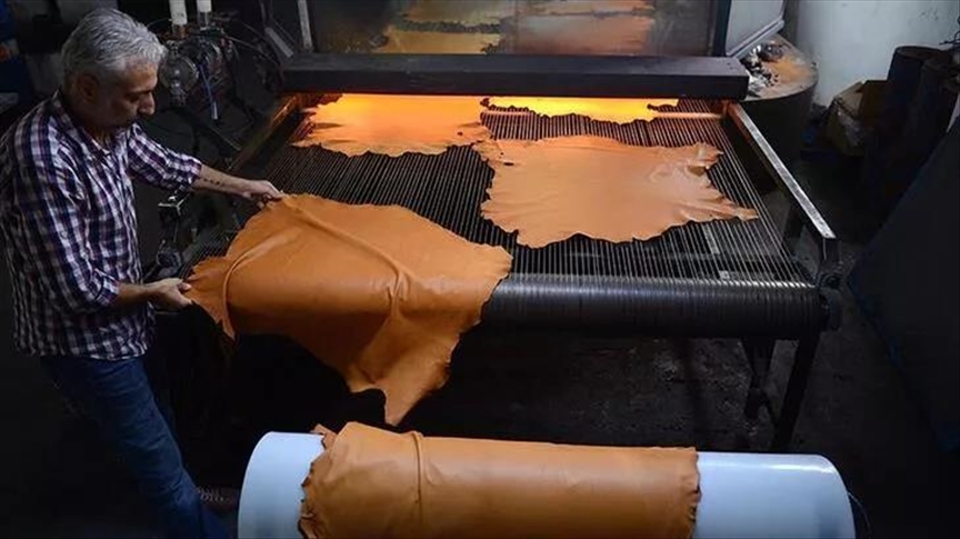В Турции началось восстановление кожевенного сектора